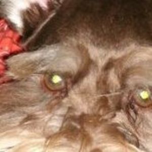 Meet your Posher, Jon